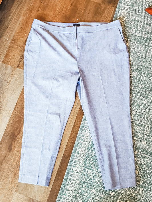 NWT Blue Pants 20