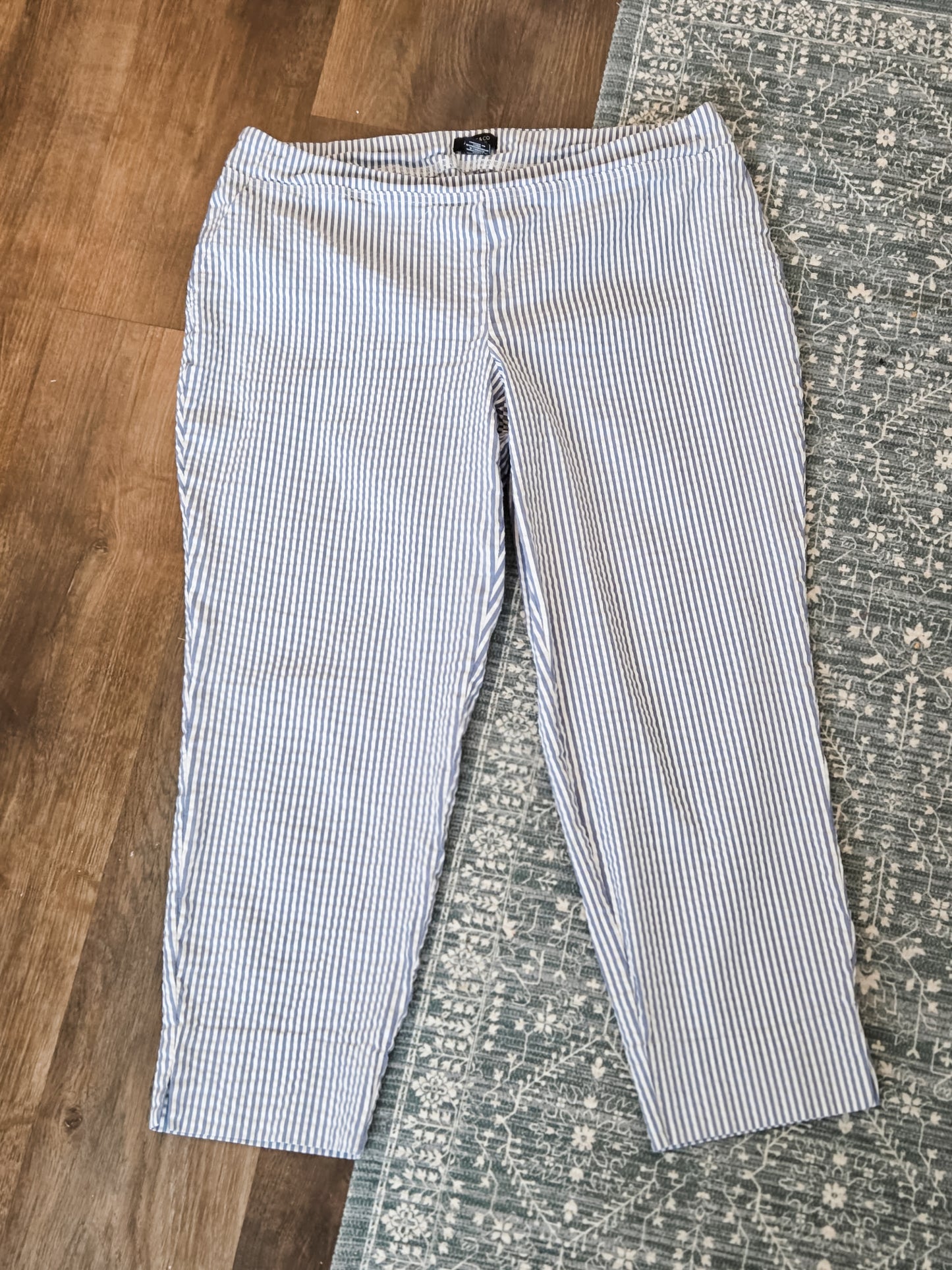 Blue Striped Pants 16W