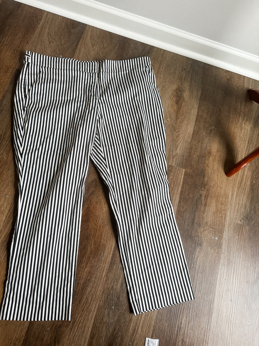 Black White Striped Pants 16