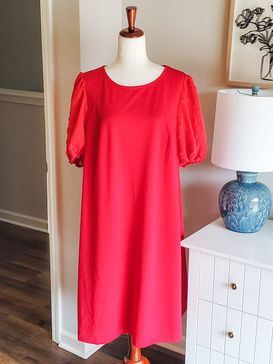Red Polka Dot Sleeve Dress 2-3X