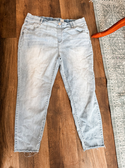 Light Wash Raw Hem Jeggings 1X