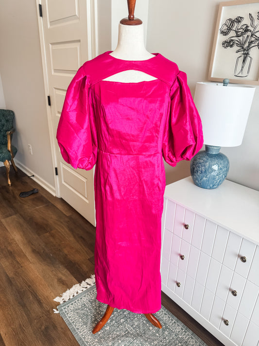 NWT Hot Pink Dress L