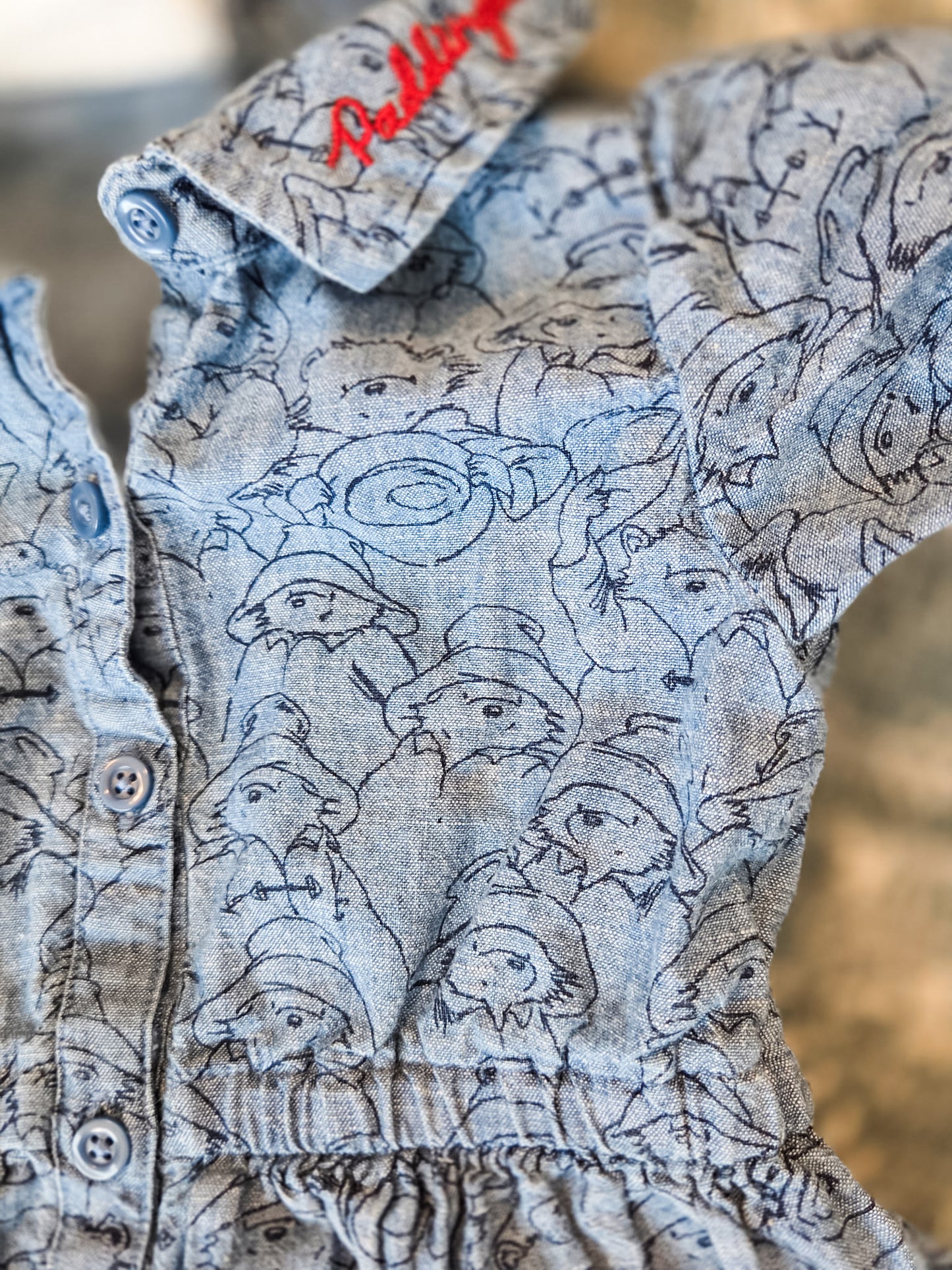 Paddington Dress 2T
