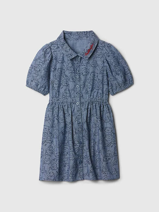 Paddington Dress 2T