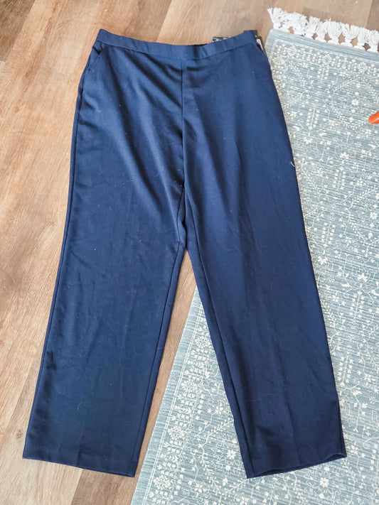 NWT Navy Pants 16