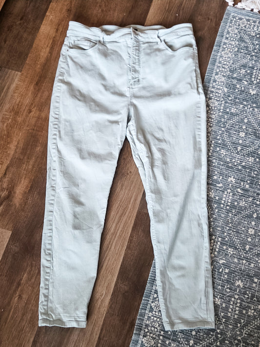 Pale Green Pants 16
