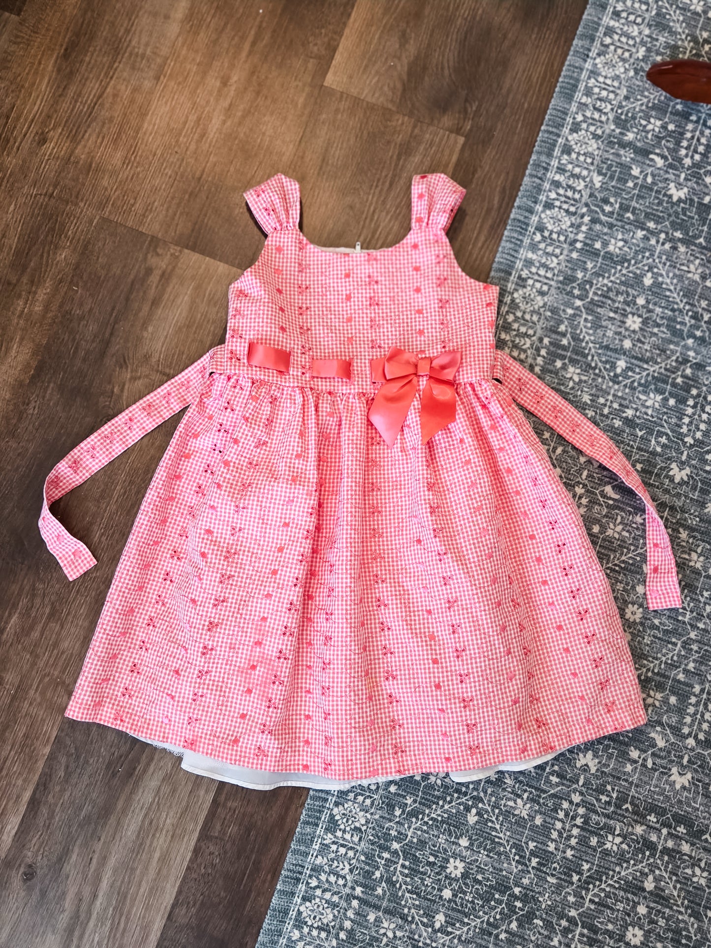 Pink Gingham Dress Youth 6