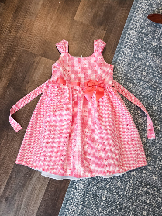 Pink Gingham Dress Youth 6