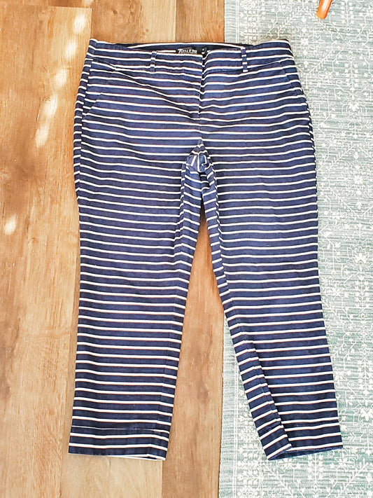 Navy Striped Pants 12