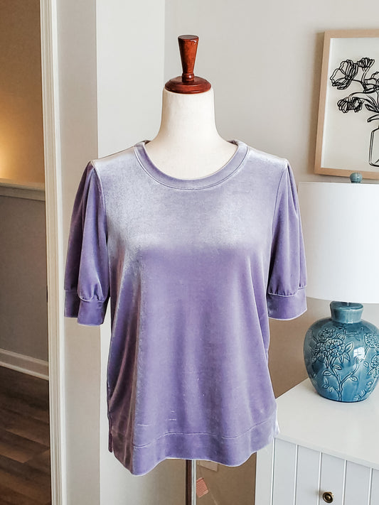 Gray Velvet Top S