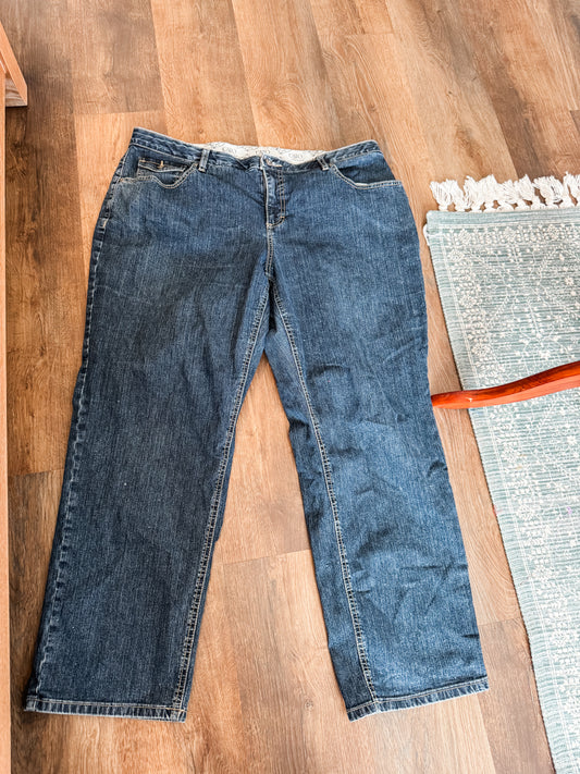 Dark Wash Skinny Jeans 20WP