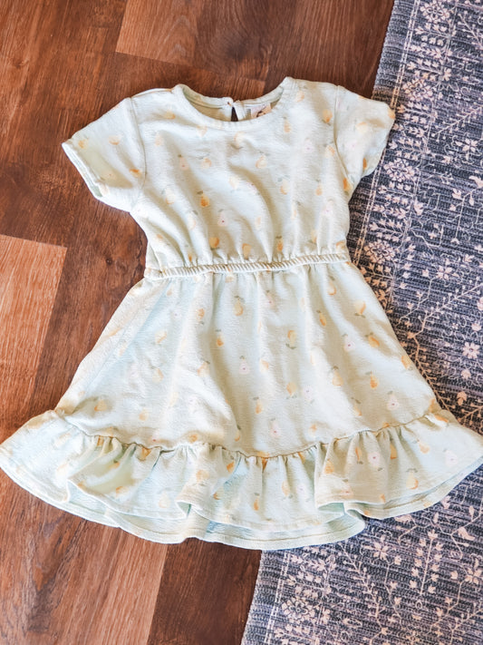 Mint Pear Print Dress 3T