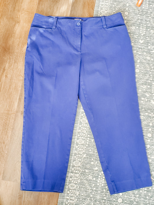 Royal Blue Cropped Pants 16