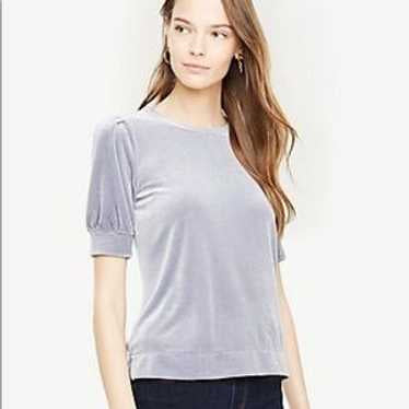 Gray Velvet Top S