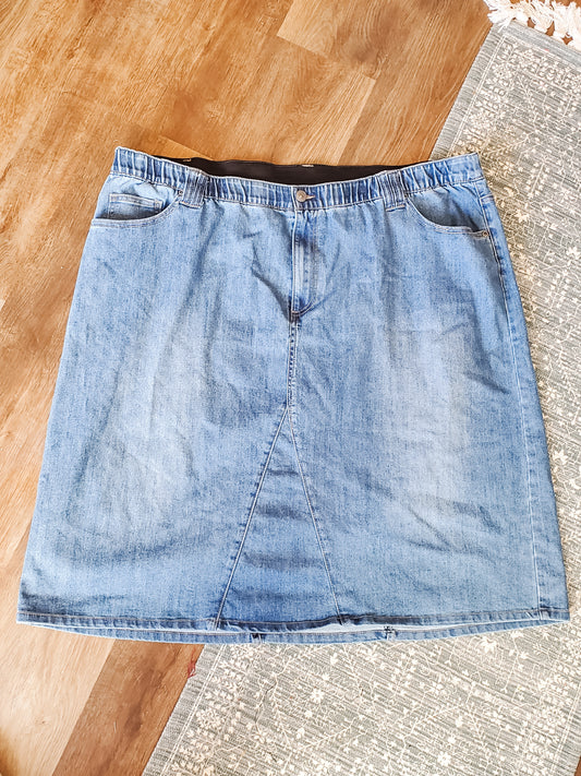 Denim Skirt 3X